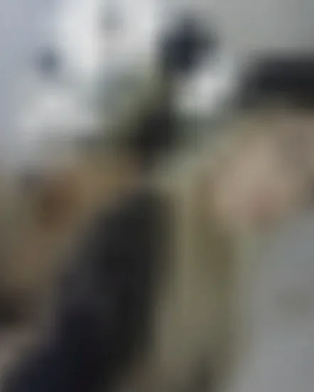 Katja, 25 Jahre — sextreffen in Feldkirch